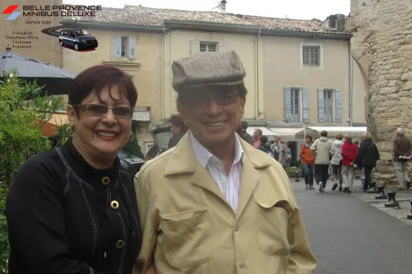 Provence according to your desires (driver & private van)