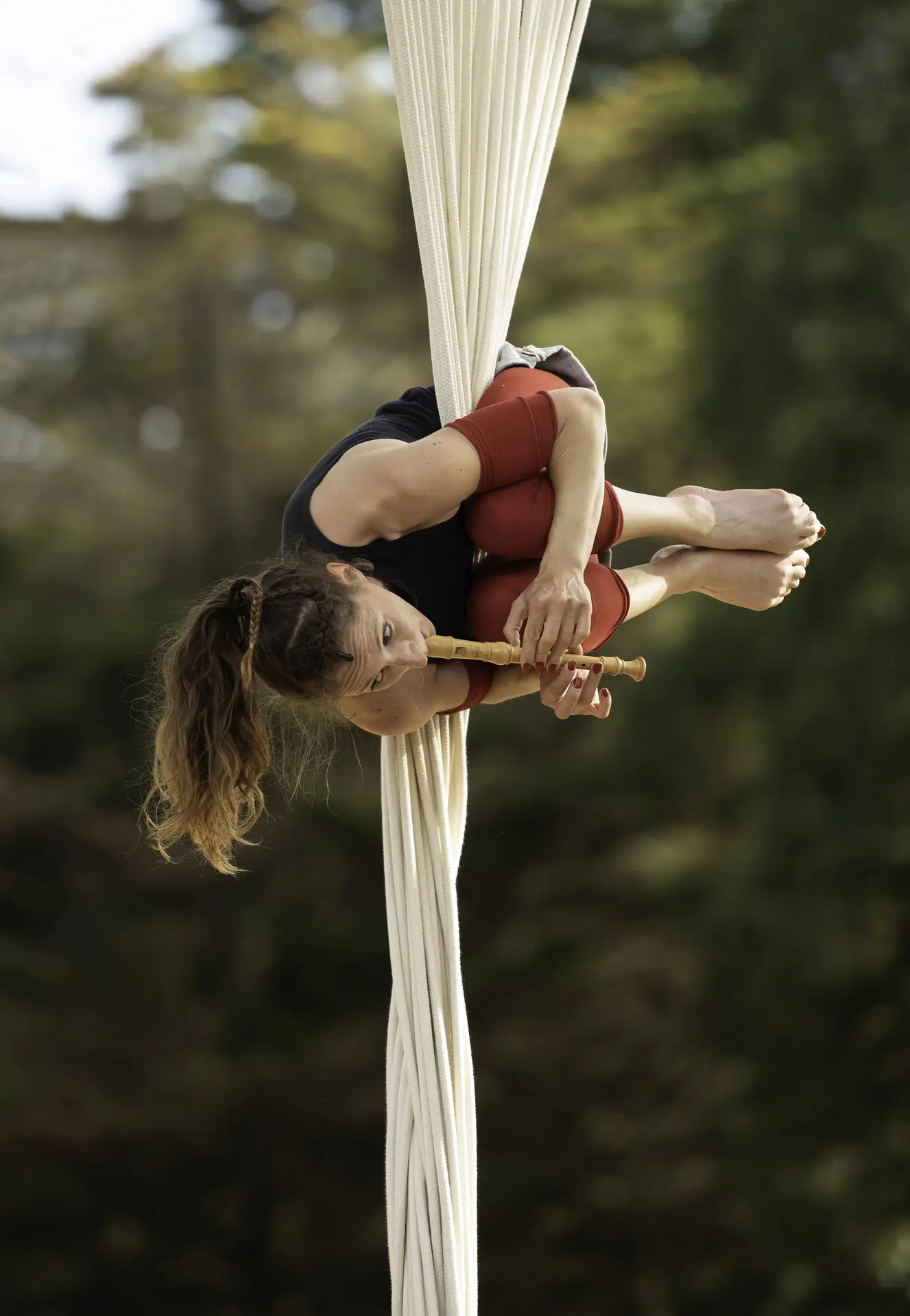 Spectacle d'acrobaties aériennes sur cordes