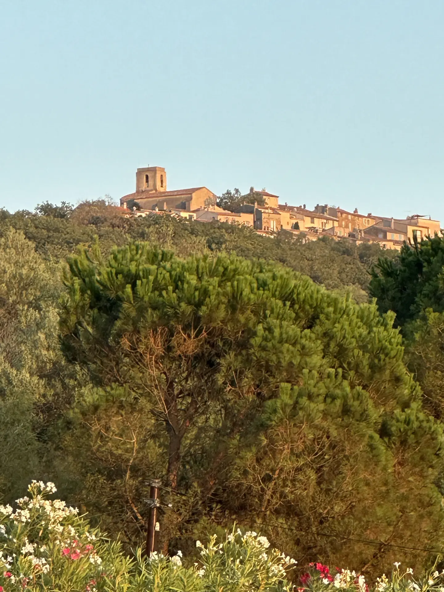 Visite guidée au coeur du village de Gassin