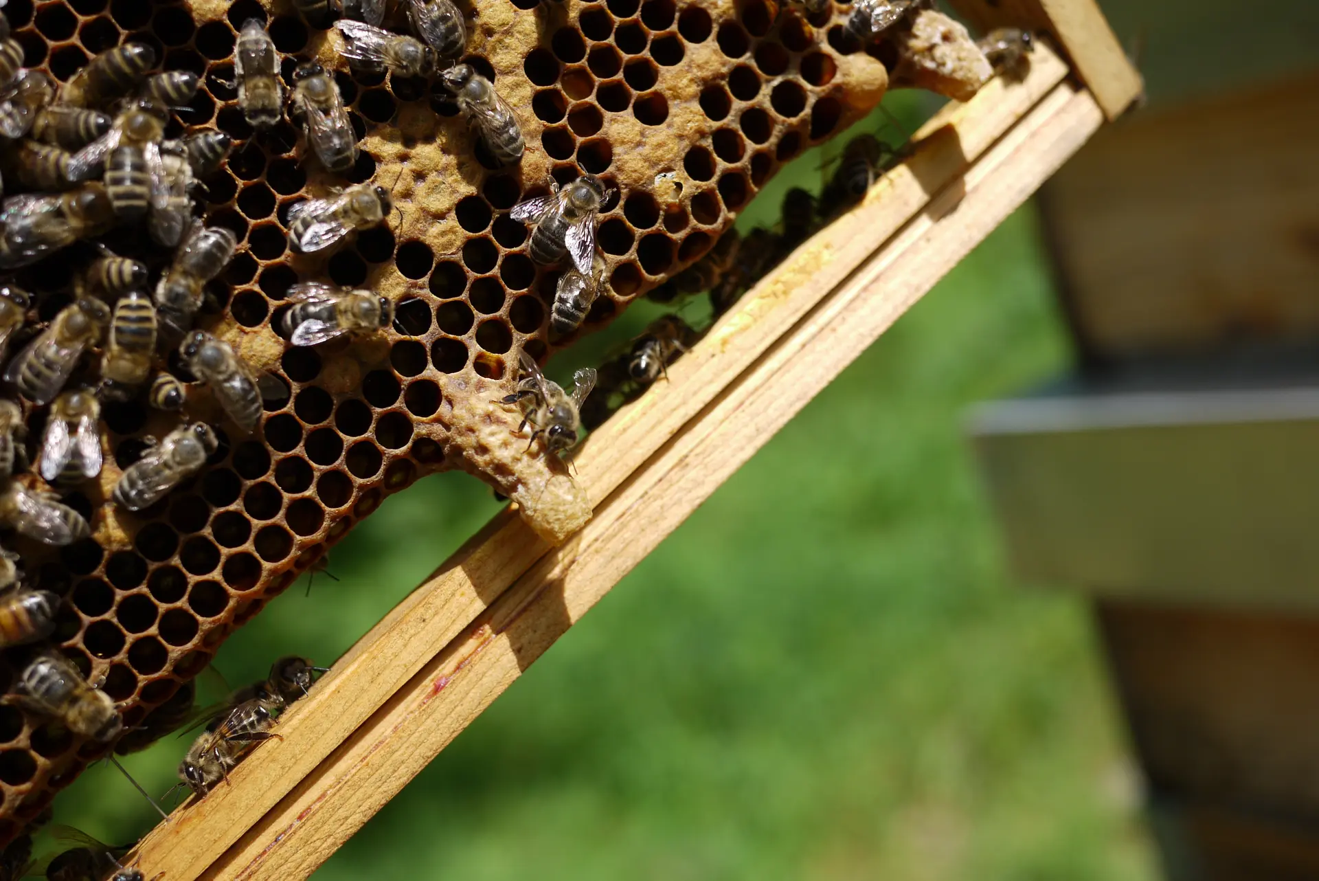 Jean-Noël en pleine démonstration