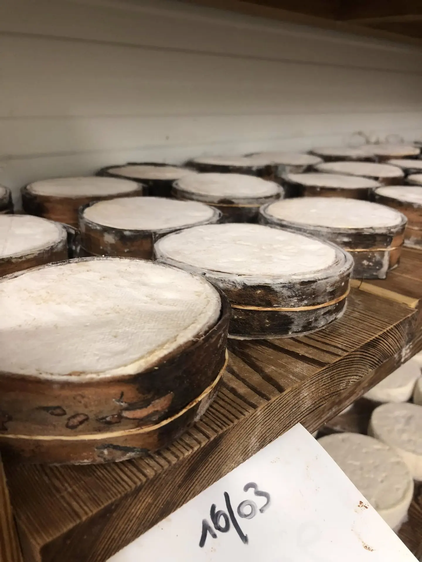 Fromages de chèvre artisanaux