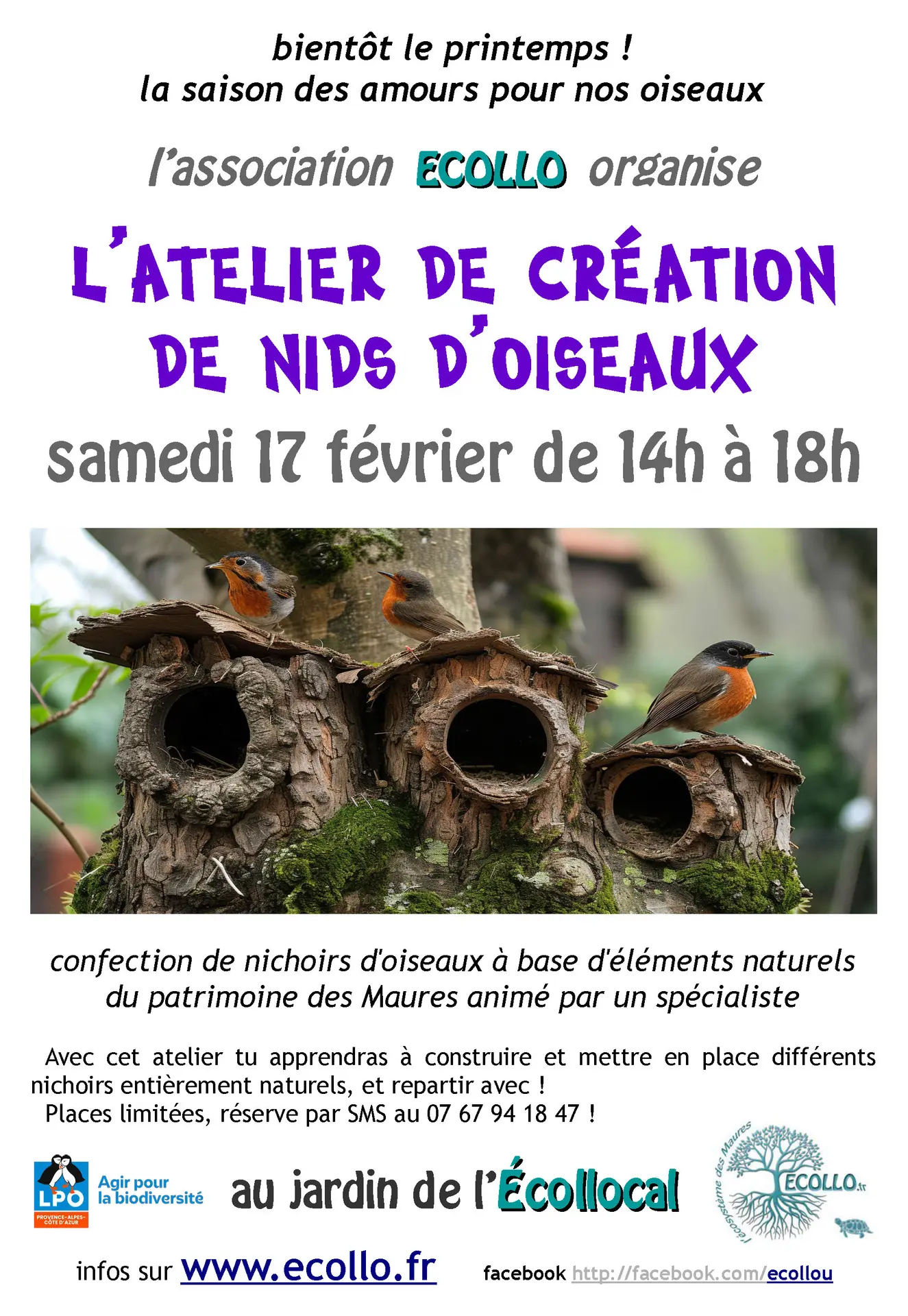 L'atelier de création de nids d'oiseaux