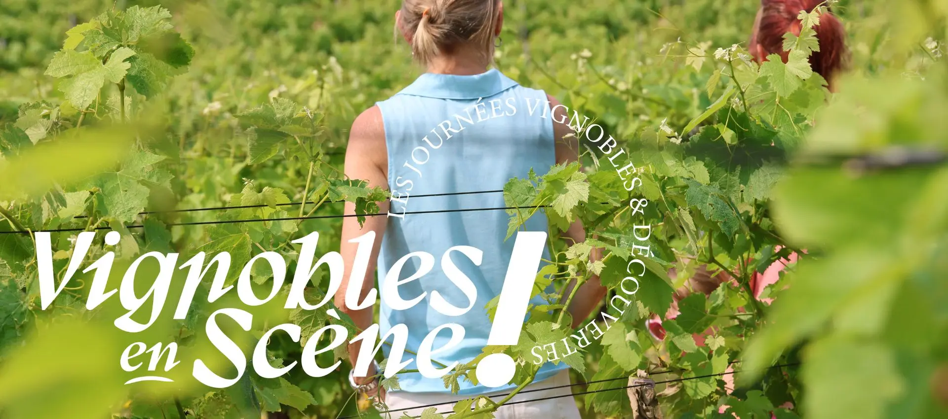 Balade dans les vignes_Sainte-Maxime