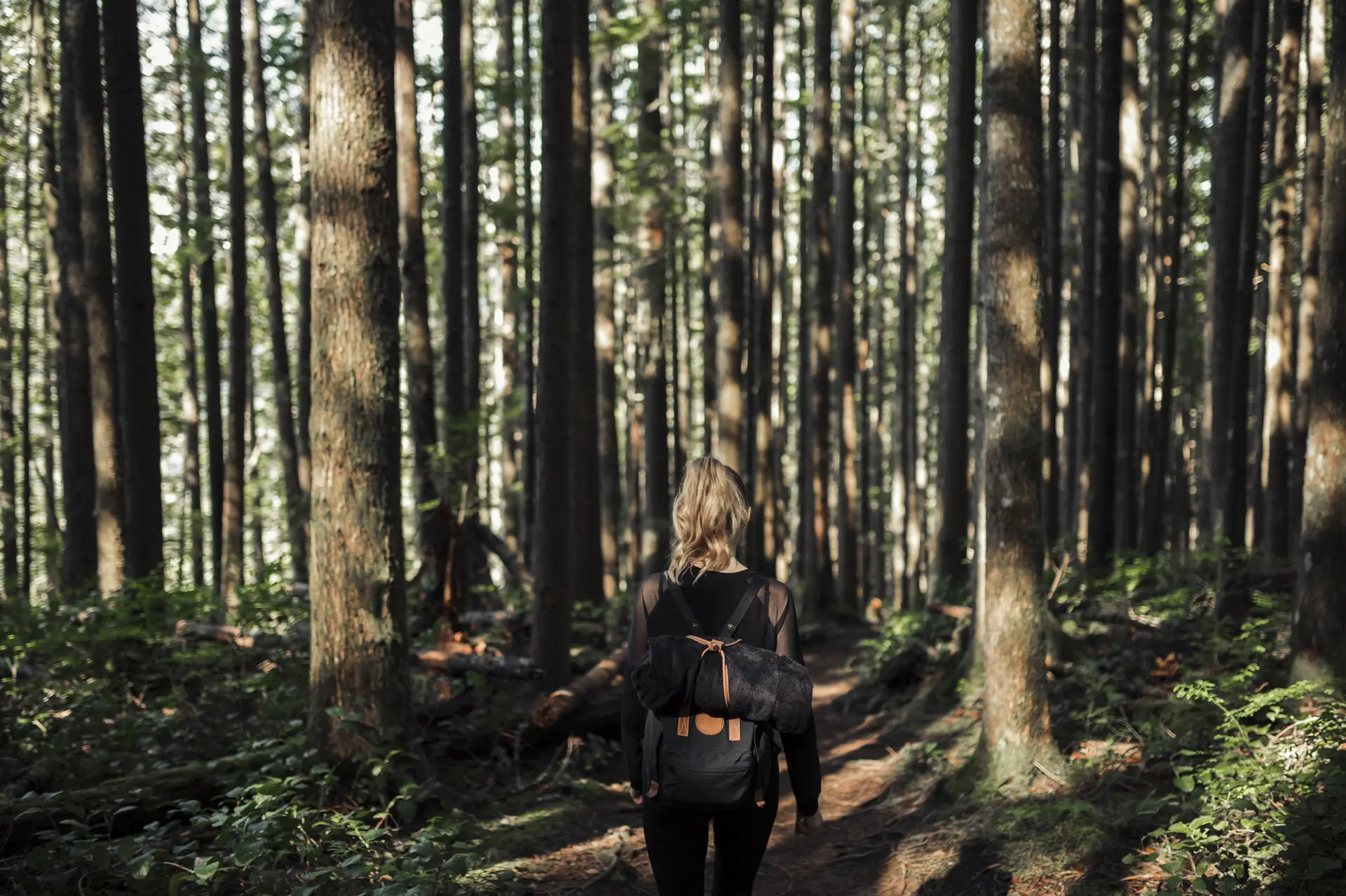 Sortie énergétique en forêt_Allevard