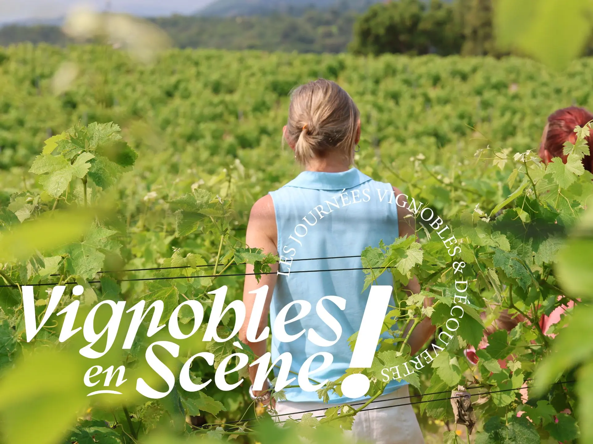 Balade dans les vignes_Sainte-Maxime