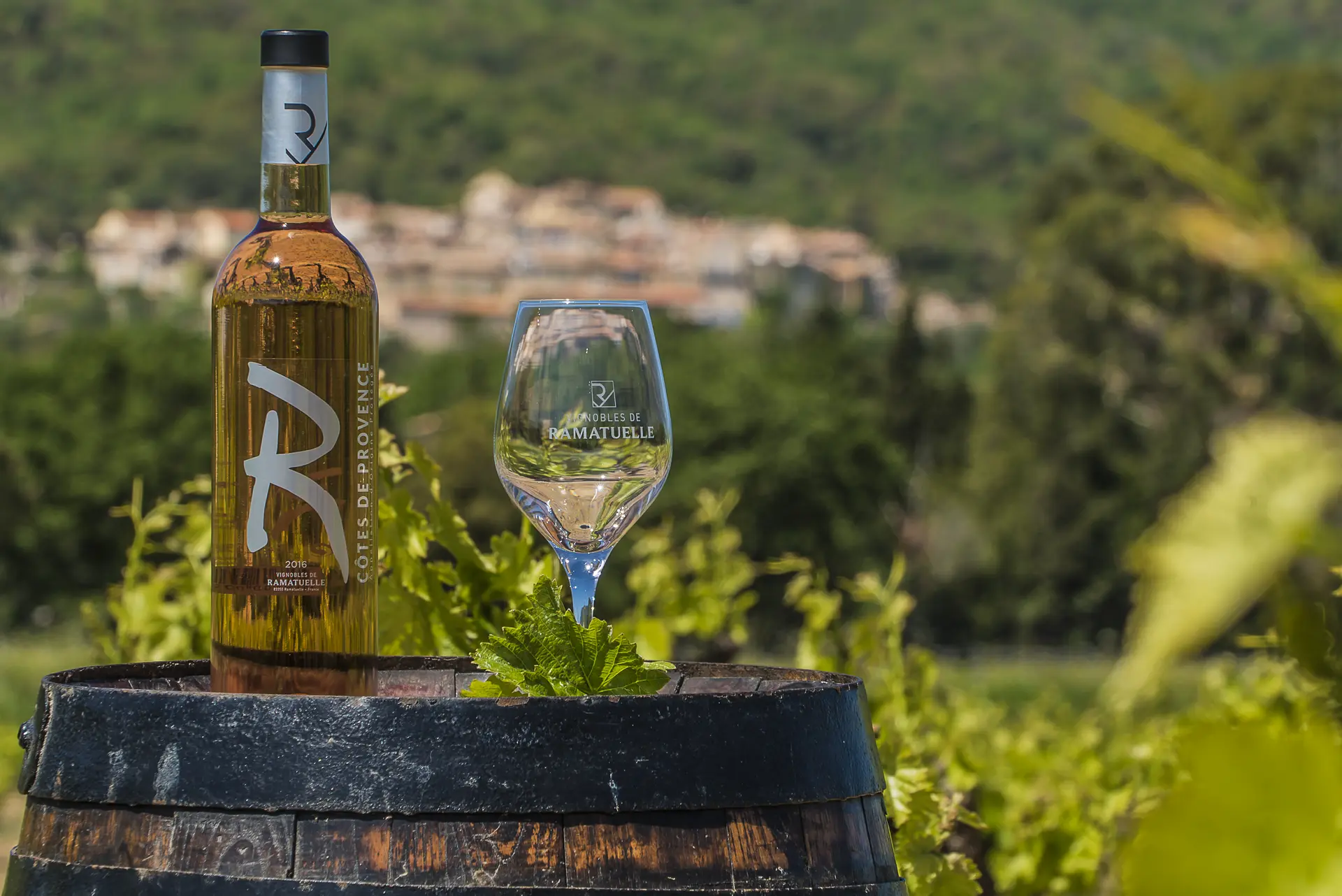 Vignobles de Ramatuelle