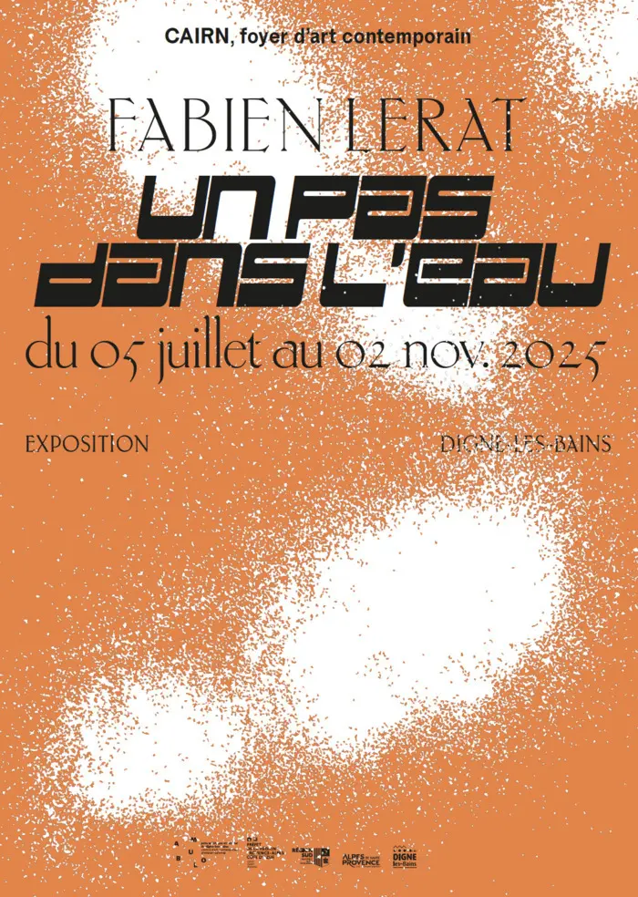 Fabien Lerat. Un pas dans l'eau : visite commentée