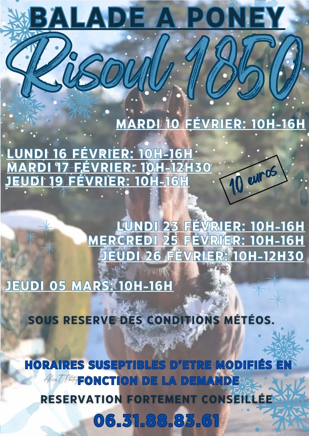 Balade à Poney_Risoul