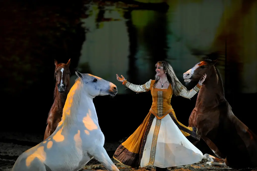 J. Rey - Salon ; Equestre ; gala ; spectacle ; cheval