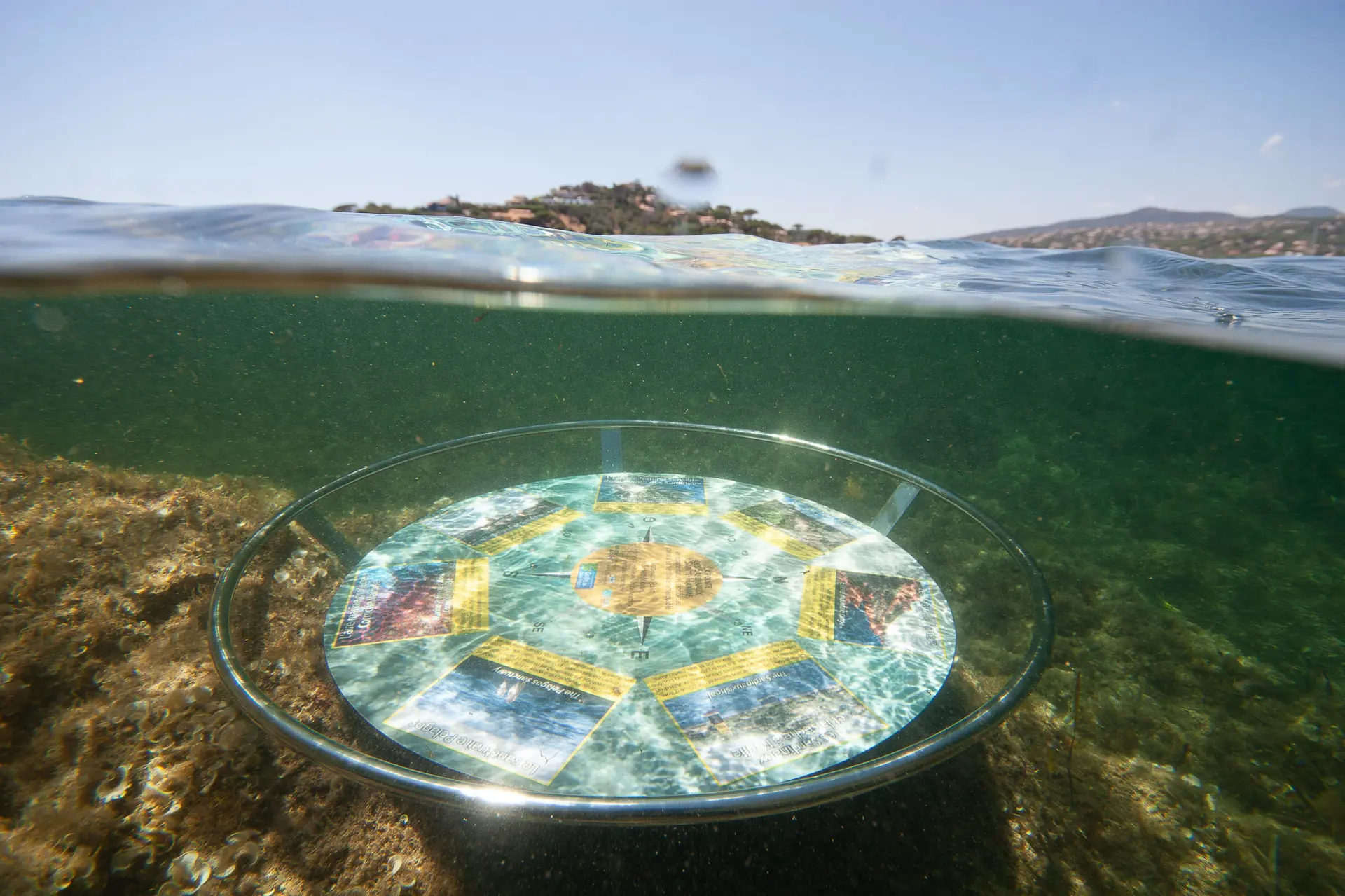 Balade aquatique à la Pointe des Sardinaux