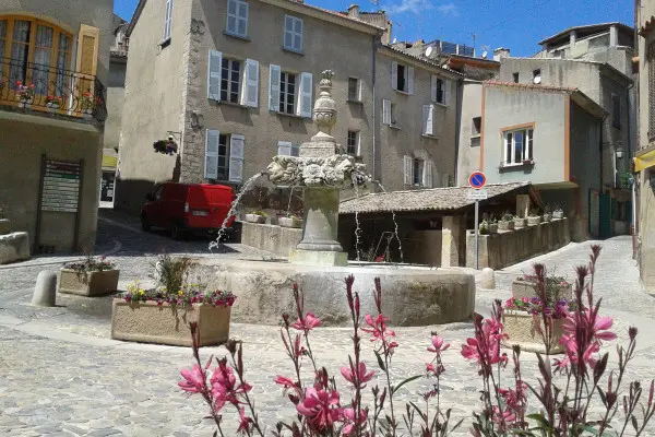 Tour Lavande Journée Valensole