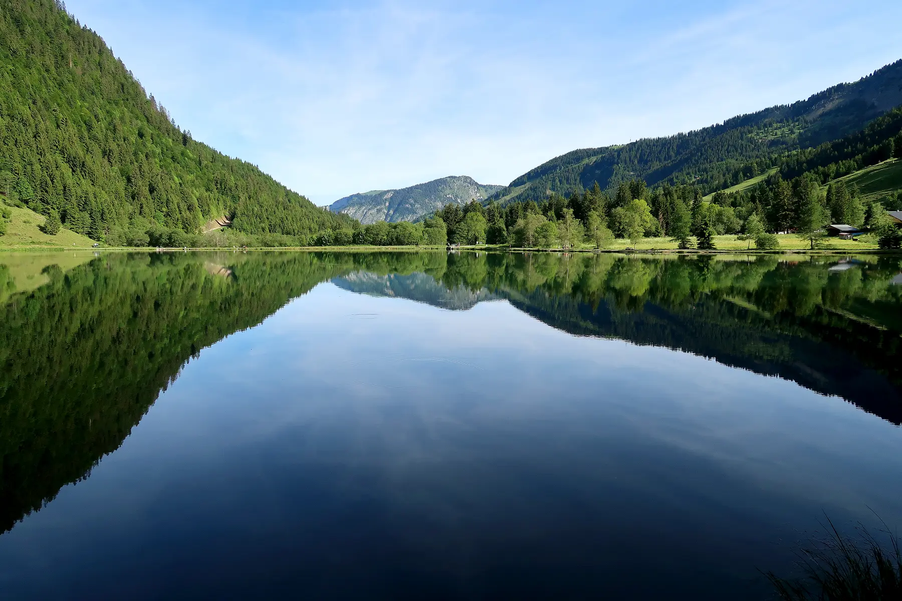 View from the end of the lake