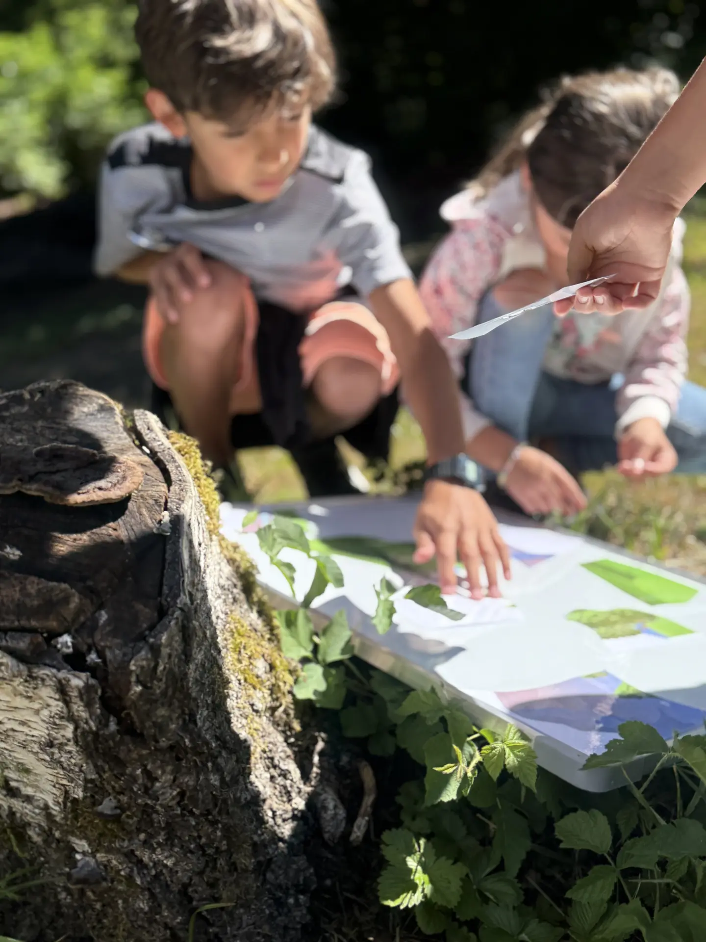 Les petits explorateurs