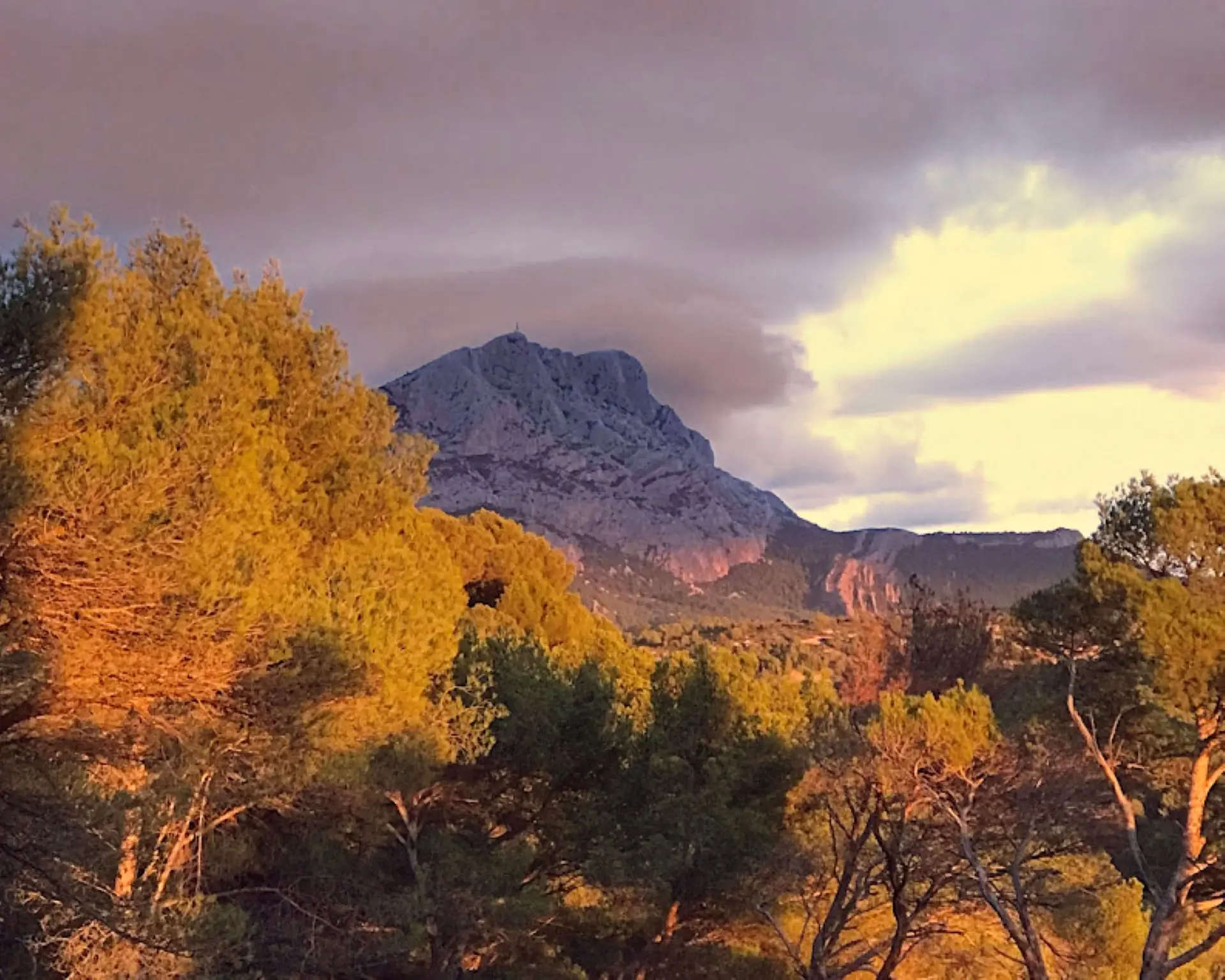 Sainte victoire rose