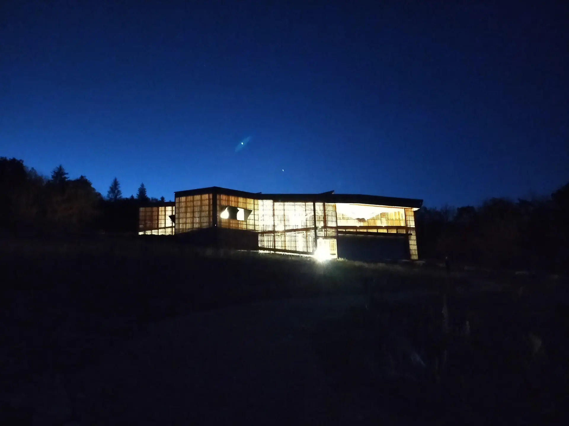 Dinoplagne© de nuit