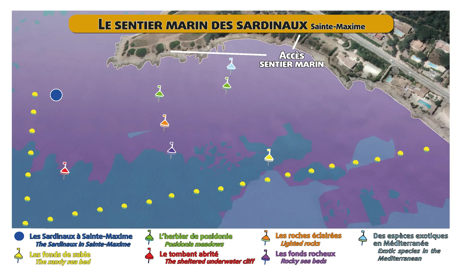 Balade aquatique à la Pointe des Sardinaux