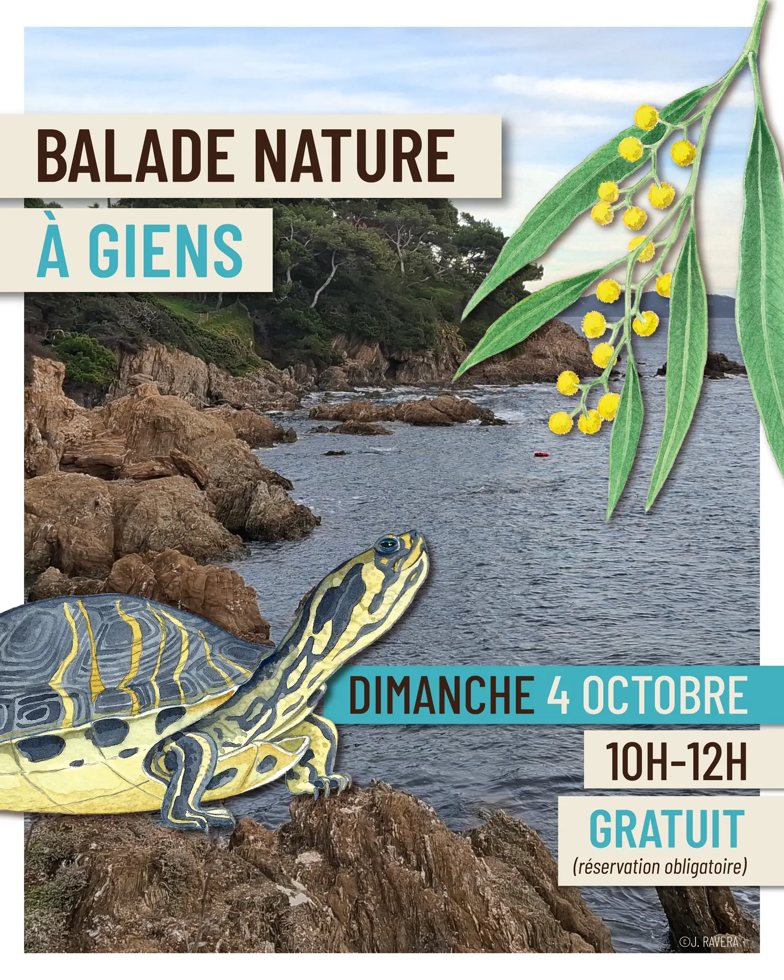 Balade nature à Giens - Faune et flore d'ici... et d'ailleurs_Hyères