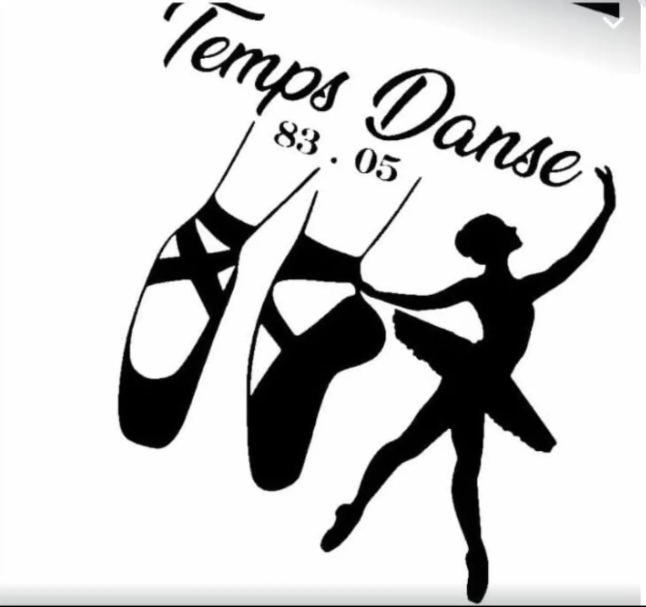 Le 5ème élément spectacle de danse création