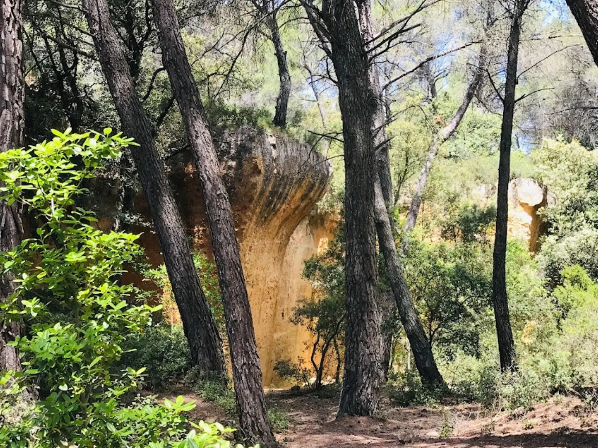 Arbres et rochers Bibemus