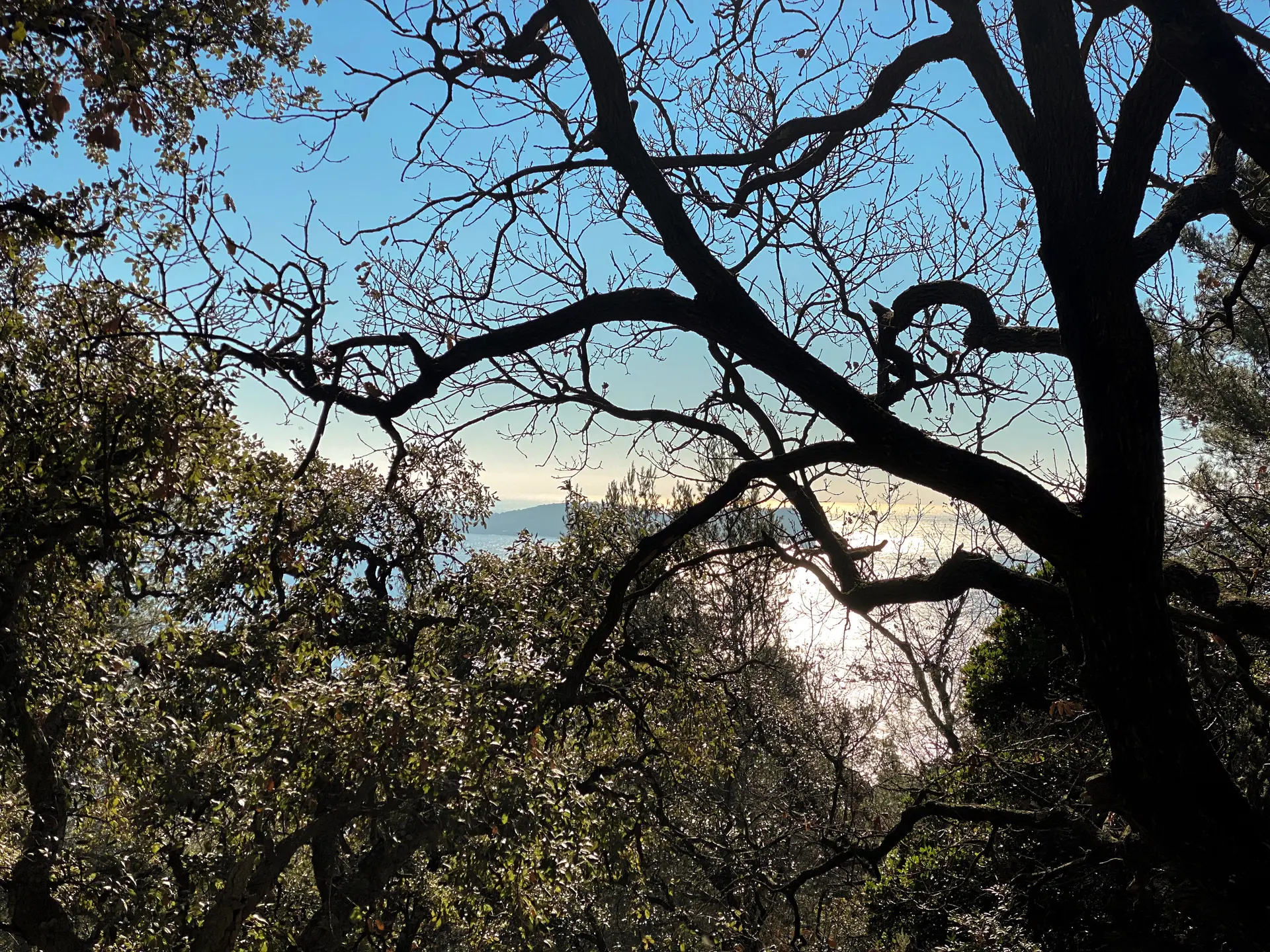 Les conférences environnement en Méditerranée porte des Maures