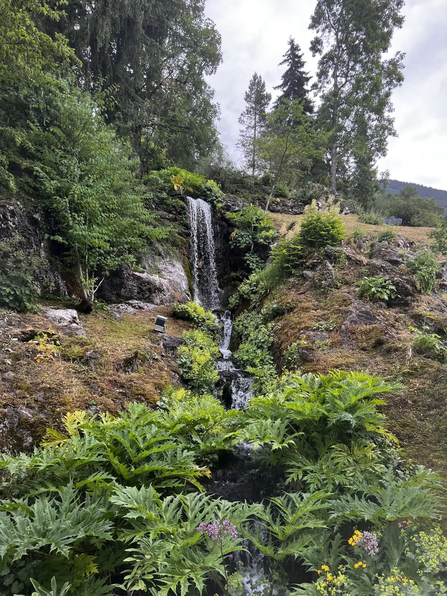 Jardin Botanique La Jaysinia - Visite Groupe