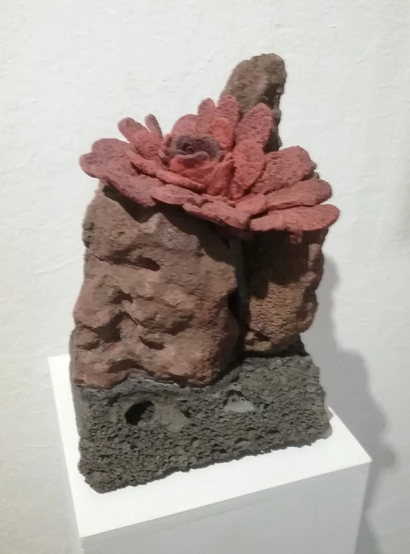 La Fleur du Volcan d'Adrian Anderson