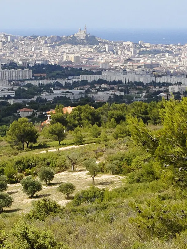 CNC_massif_etoile-pano - MHNM