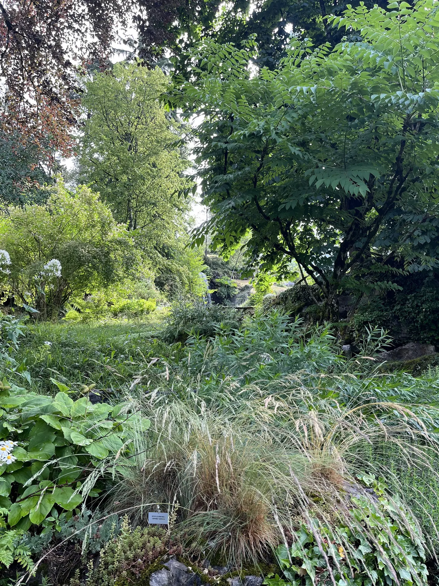 Jardin Botanique La Jaysinia - Visite Groupe