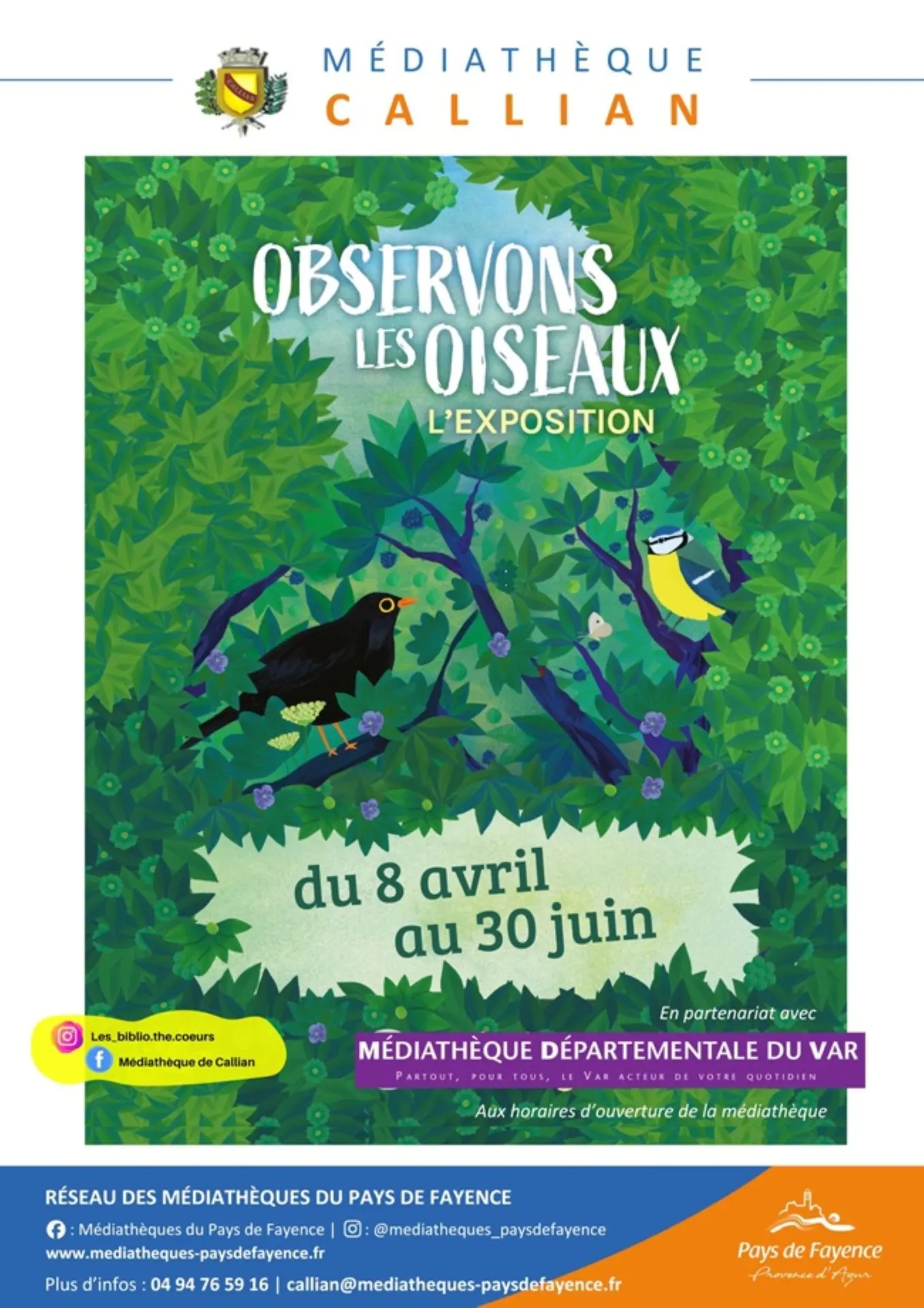Exposition Observons les oiseaux