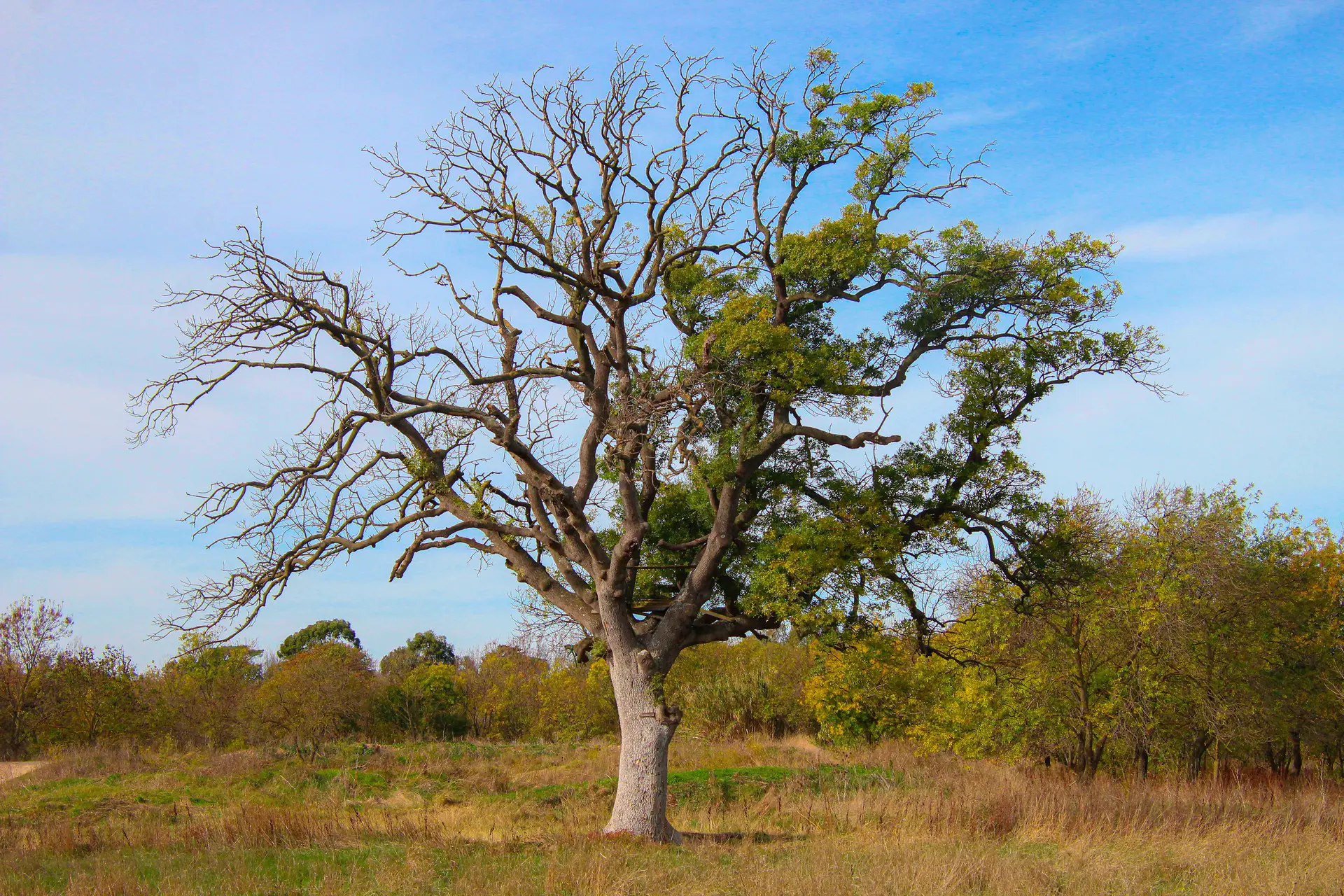 Les conférences environnement en Méditerranée porte des Maures