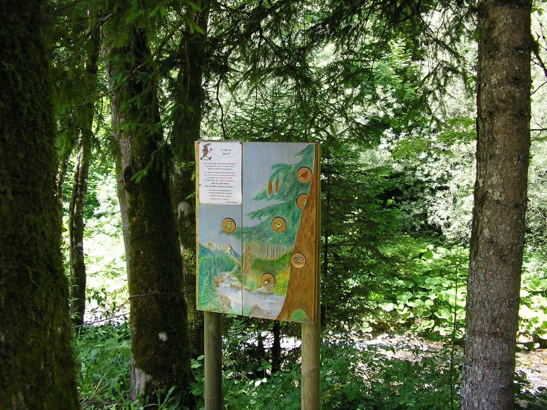 Sentier des oiseaux