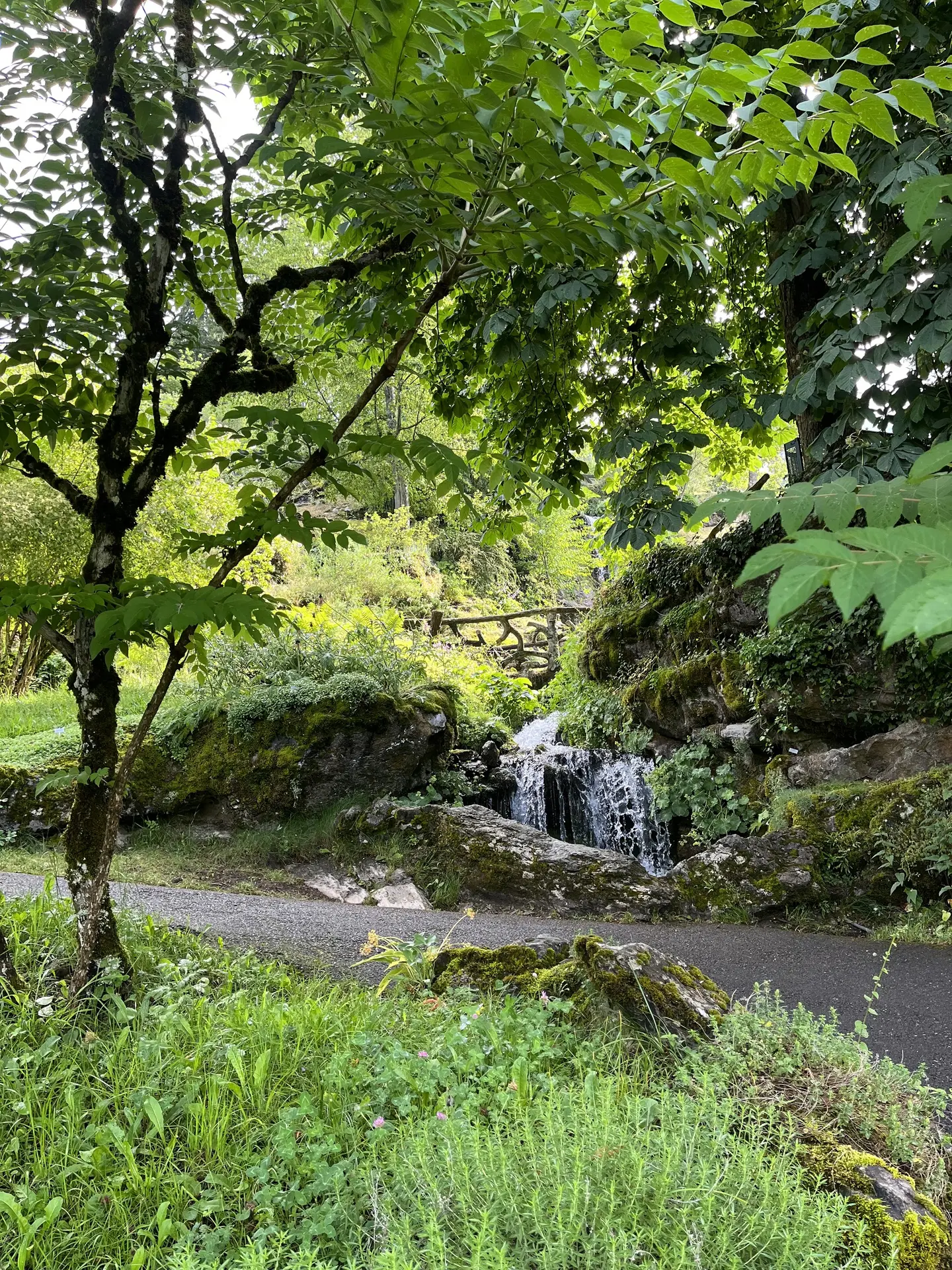 Jardin Botanique La Jaysinia - Visite Groupe