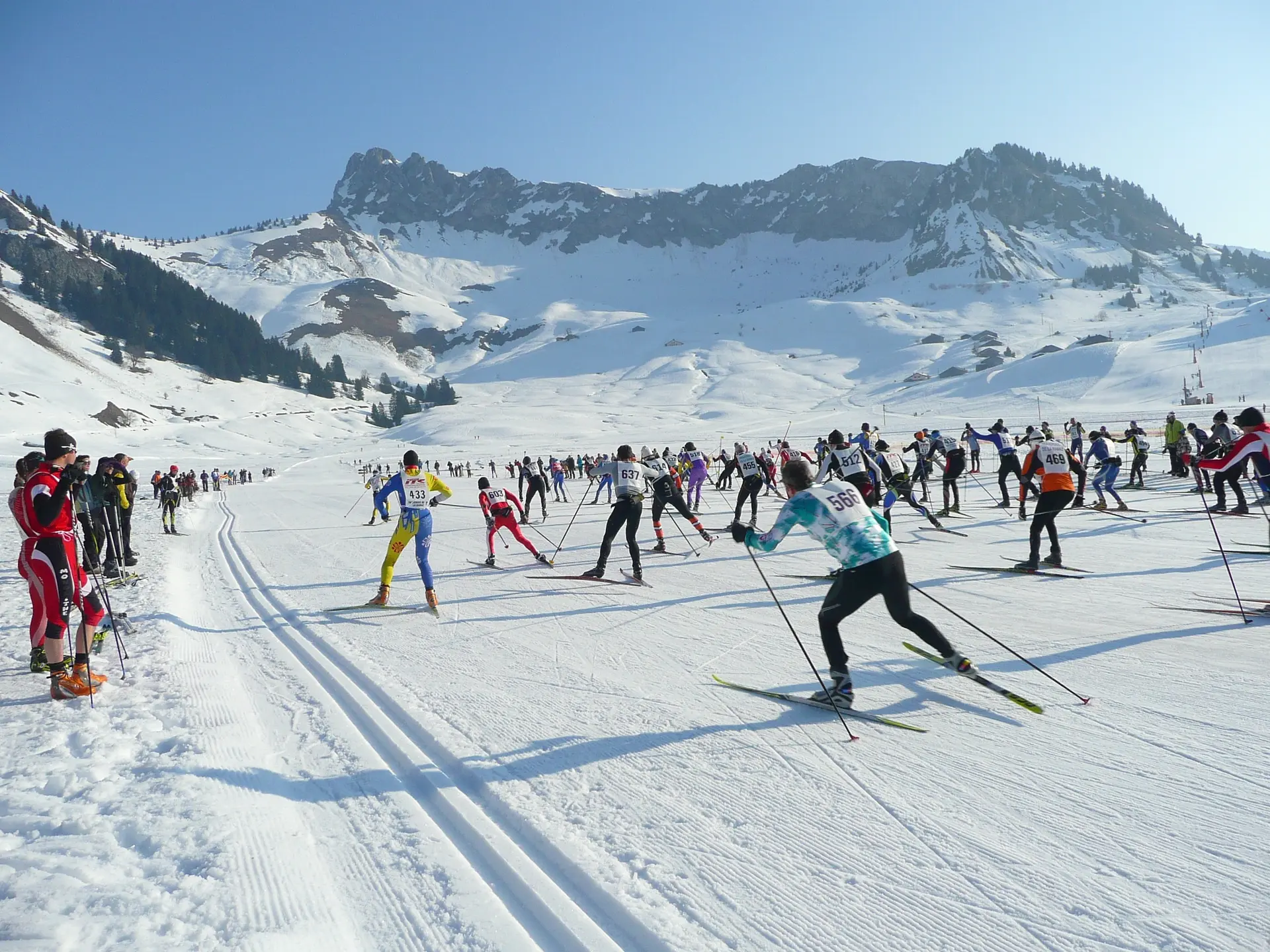 Communiqué de Presse