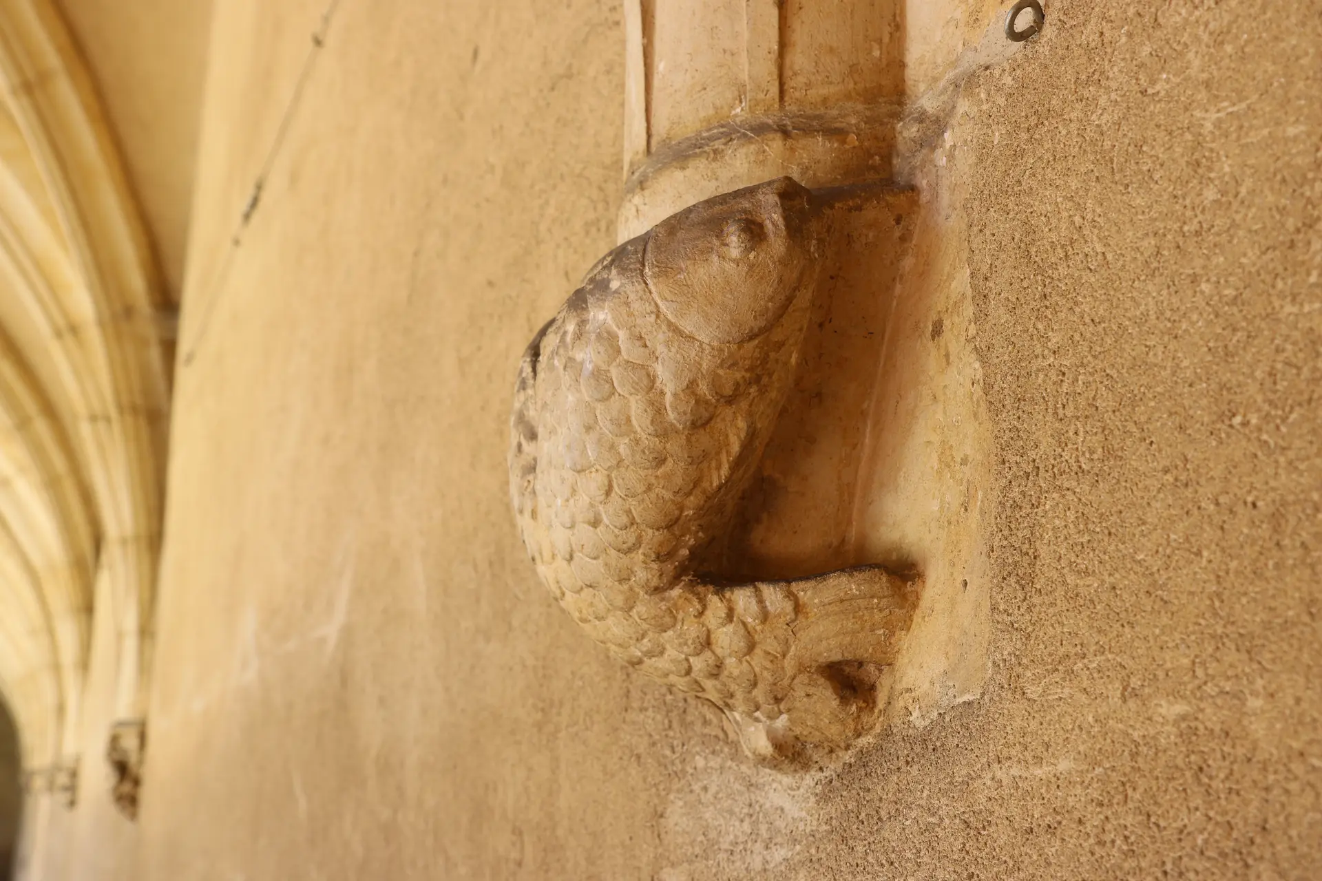 Détail architectural du monastère royal de Brou