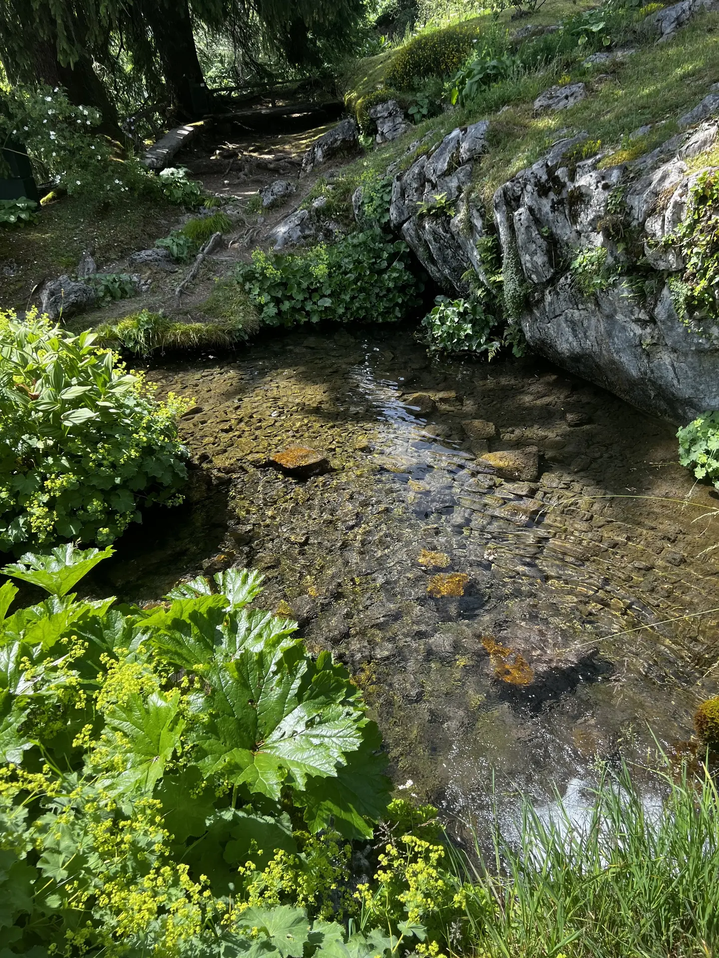 Jardin Botanique La Jaysinia - Visite Groupe