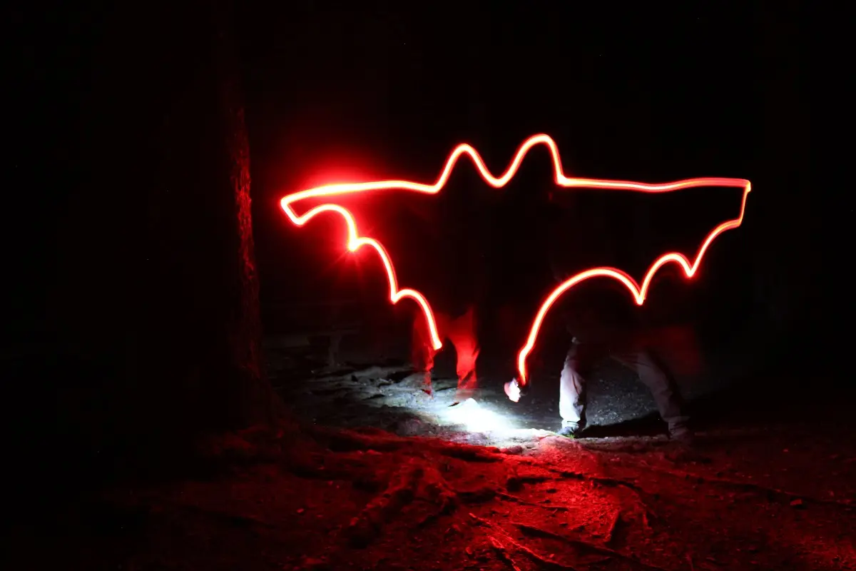 Balade nocturne - Chouette soirée dans les bois - Ecomusée -- Thônes