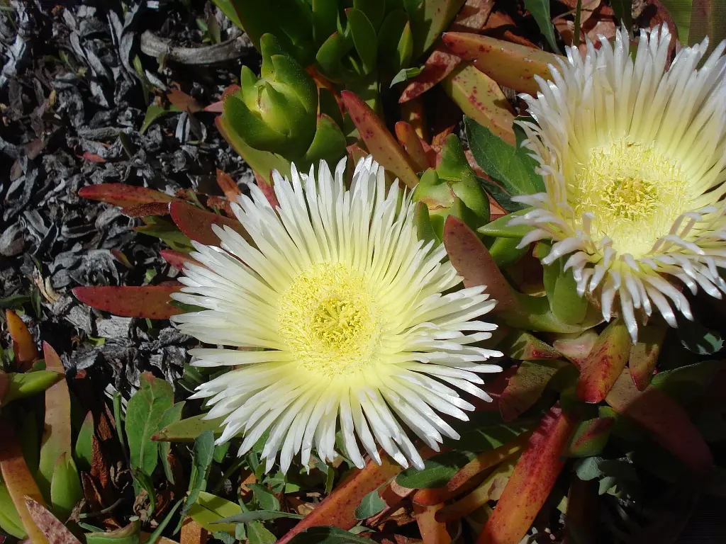 Les conférences environnement en Méditerranée porte des Maures
