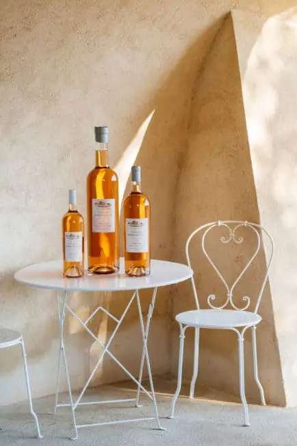 Vignobles en scène