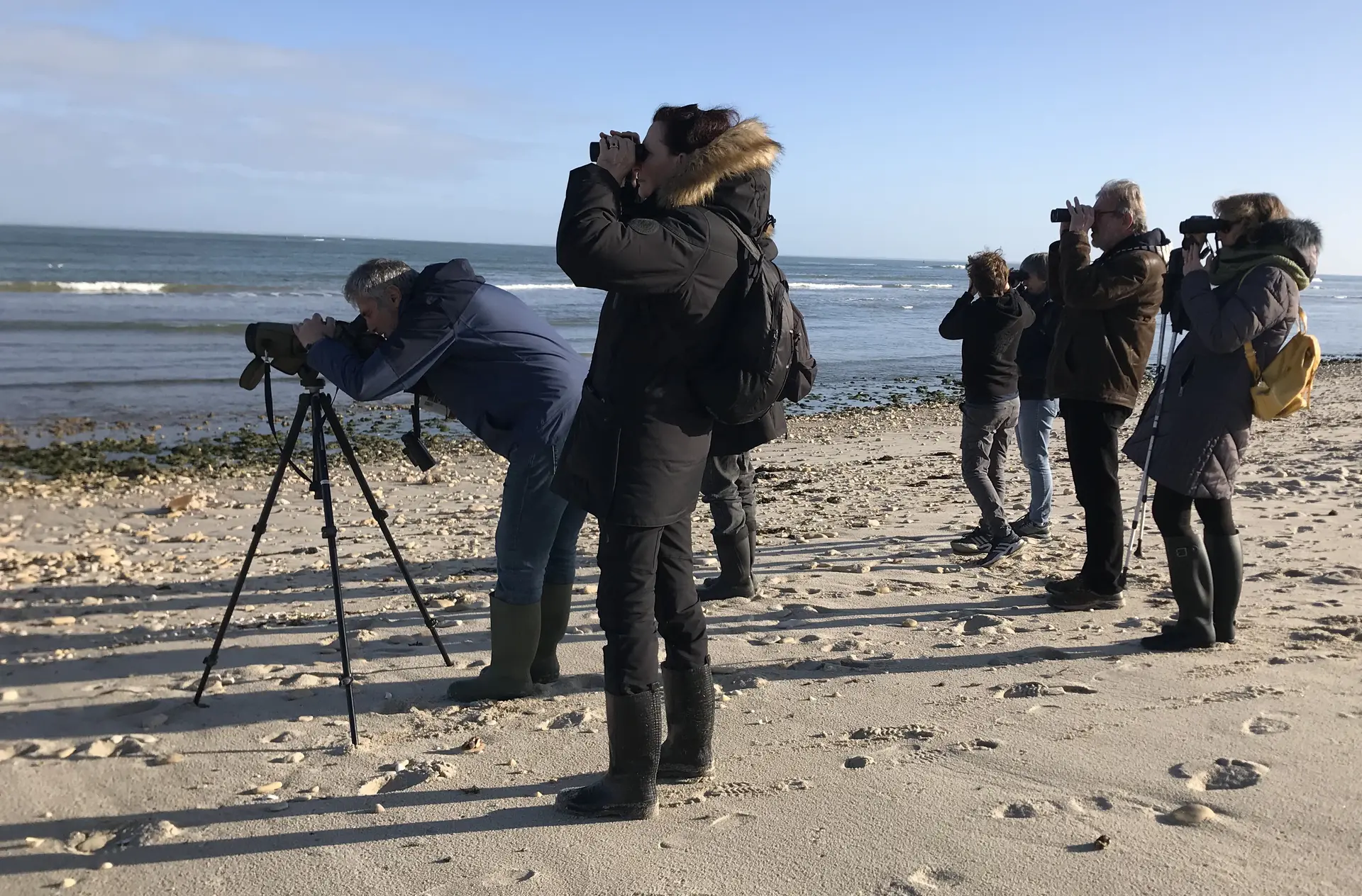 Observation de la nature