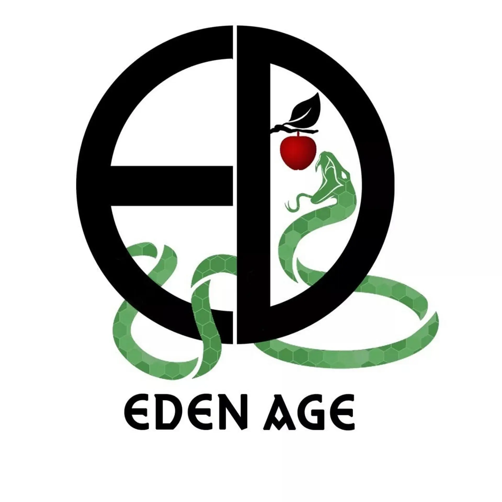 Orchestre Eden Age