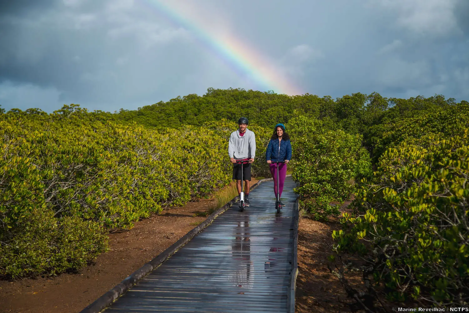 Parcours de la mangrove Ouémo