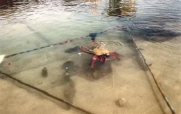Visite guidée : les techniques de fouilles à Paladru_Villages du lac de Paladru