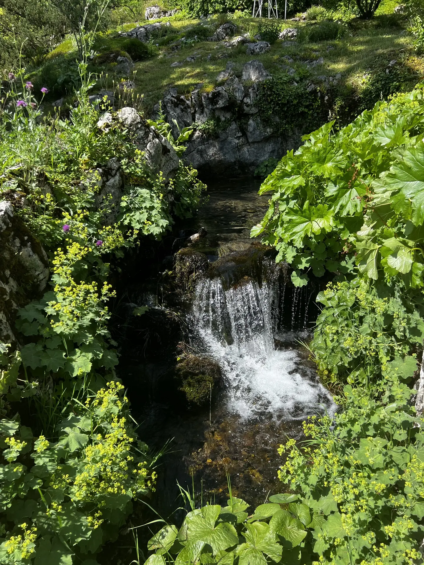 Jardin Botanique La Jaysinia - Visite Groupe