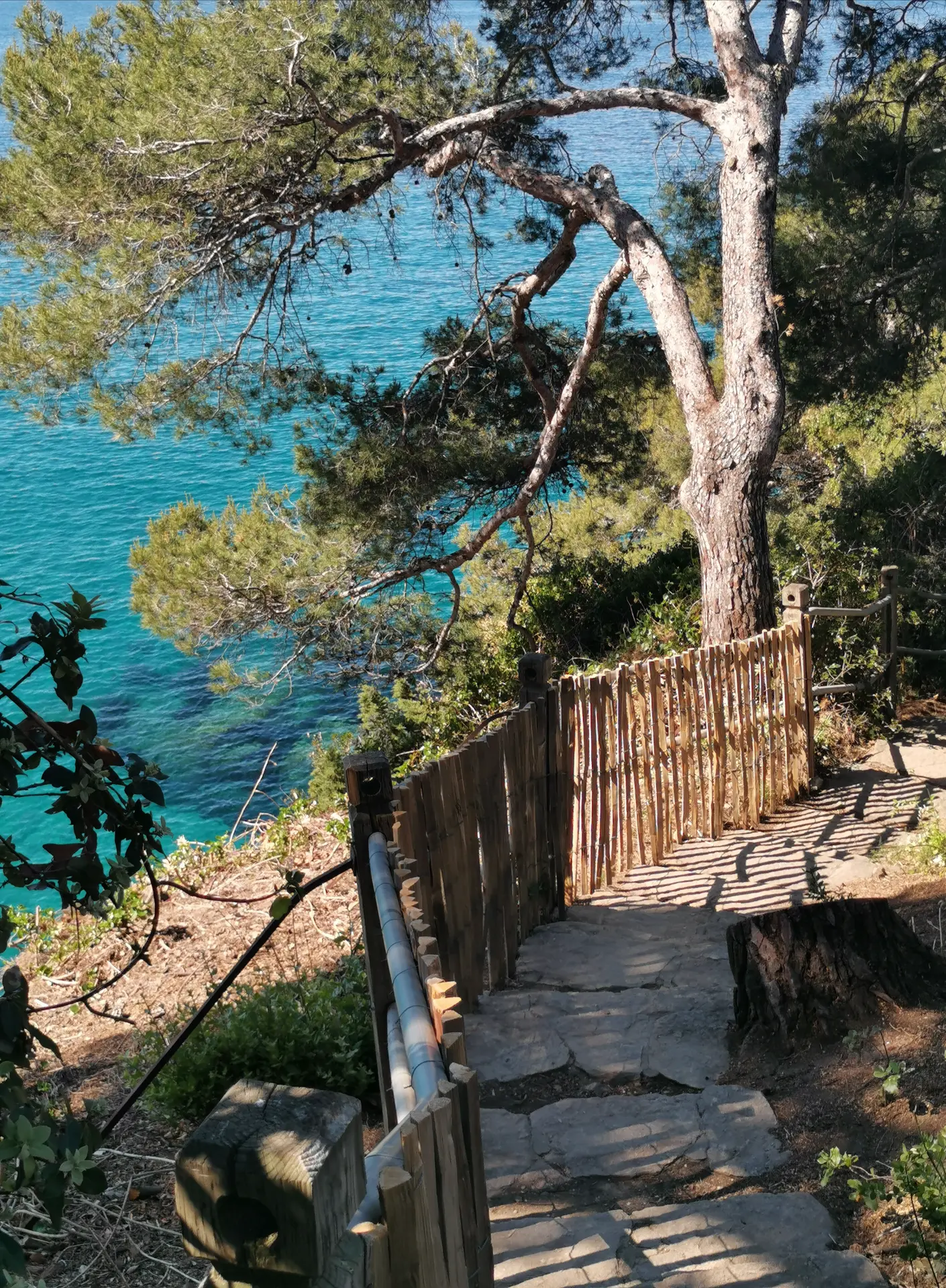 Sentier