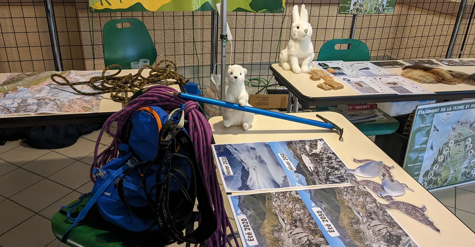 Stand avec de l'équipement de montagne et des peluches