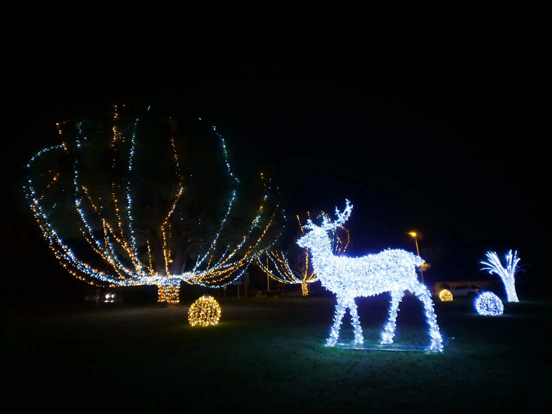 Lancement des illuminations à Saint-Cyr-sur-Mer