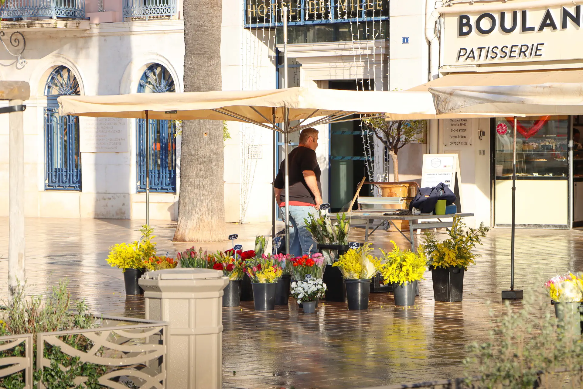 Marché aux Fleurs_Sanary-sur-Mer