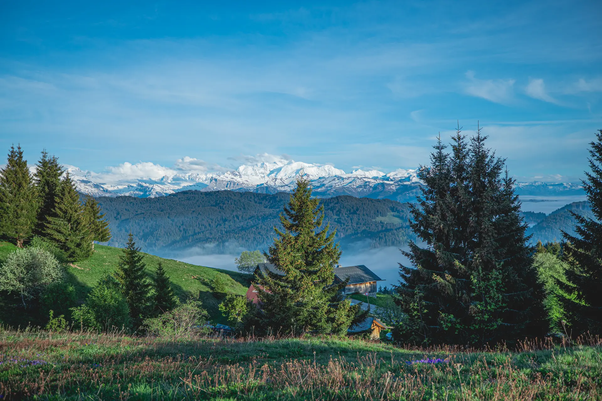 Mont Blanc