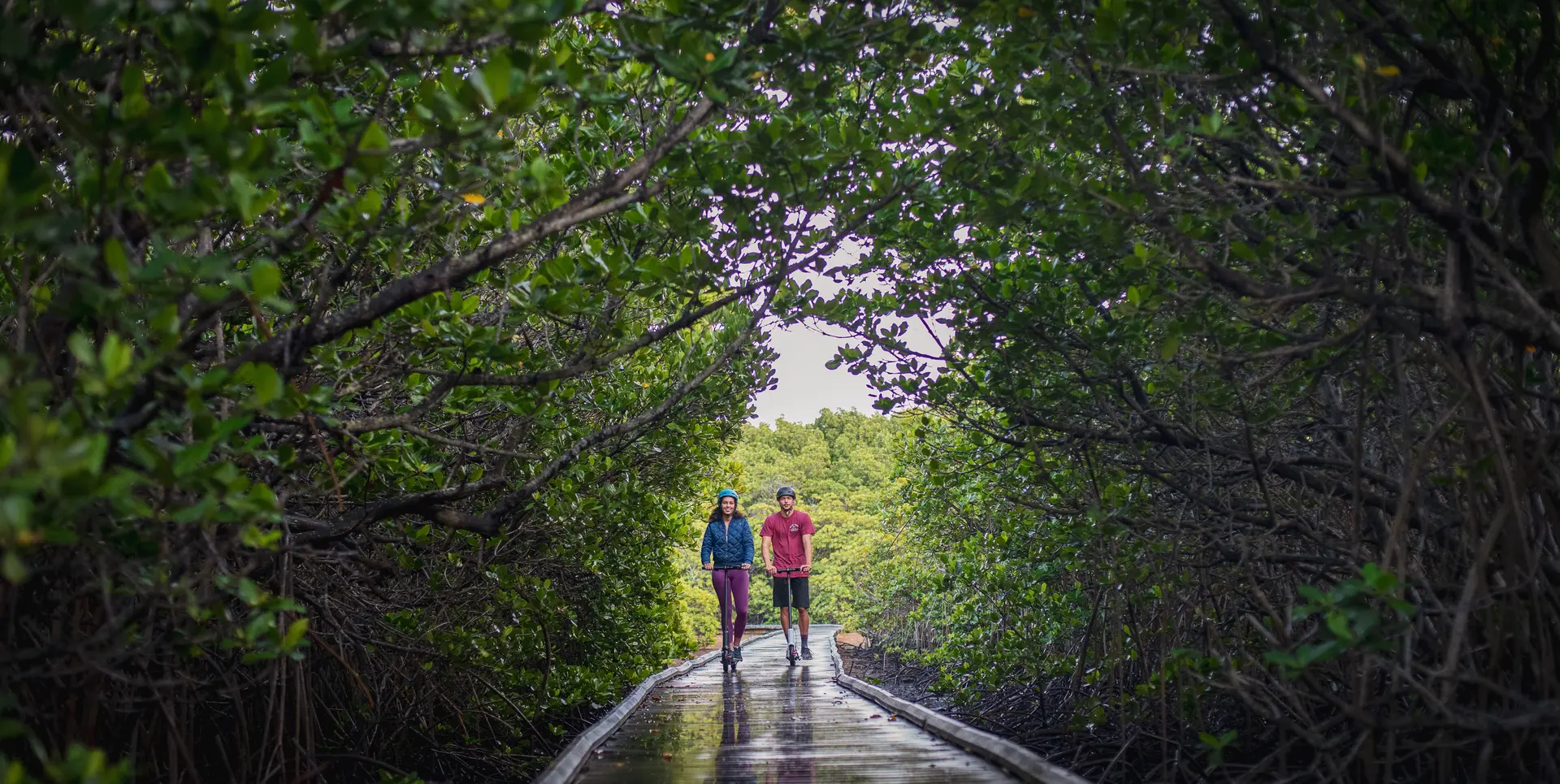 Parcours de la mangrove Ouémo