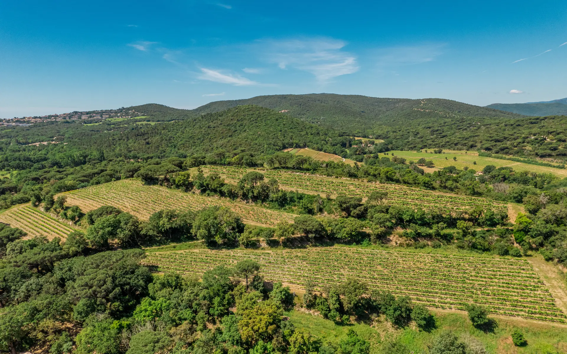 Domaine Tropez